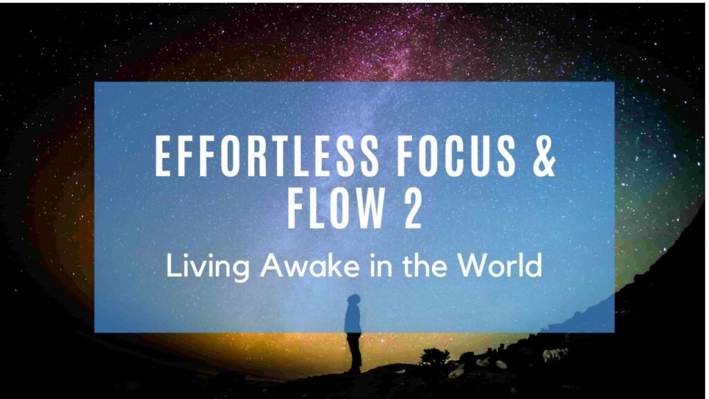 Effortless Focus and Flow Two