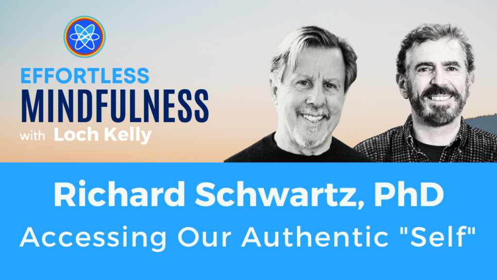 richard c schwartz