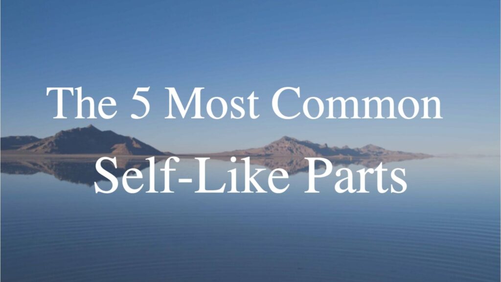 self like parts