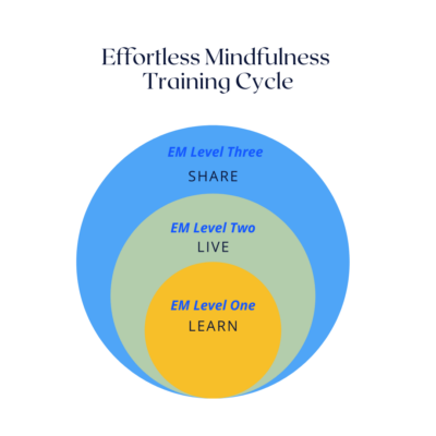 effortless mindfulness training cycle