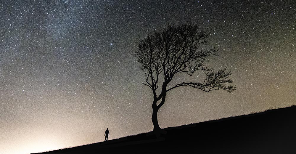 Person standing beneath starry sky