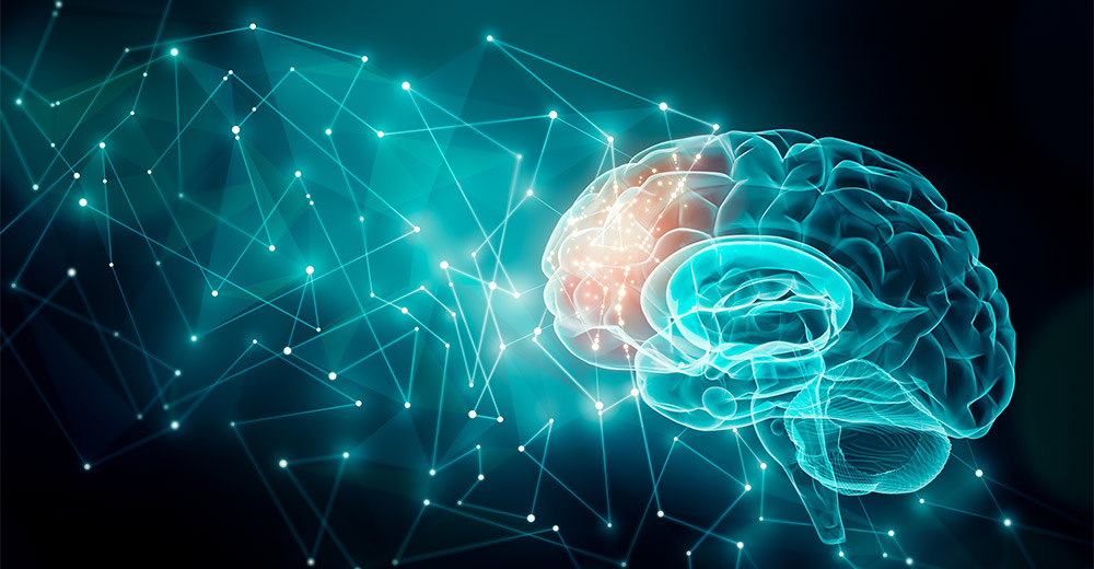 Illustration of brain and network