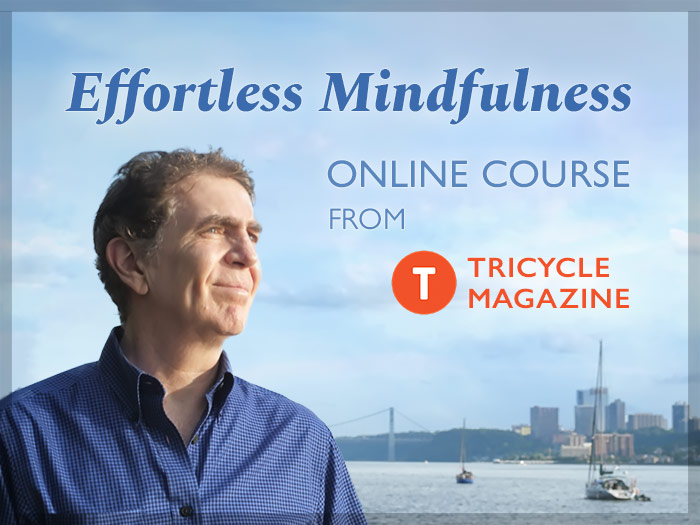 Effortless Mindfulness Online Course
