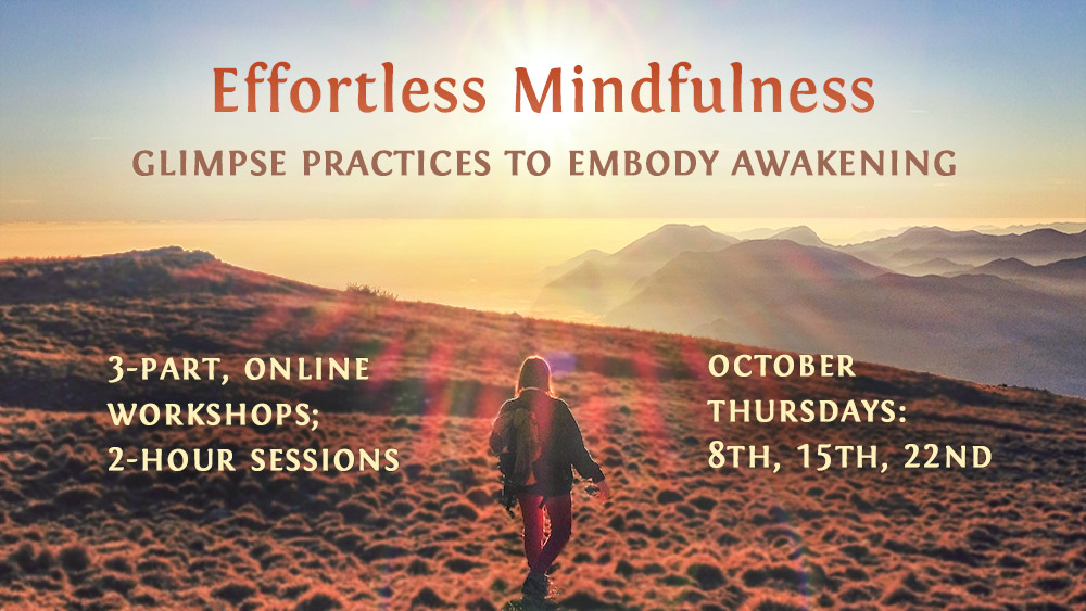 Glimpse Practices to Embody Awakening: Workshops with Loch Kelly