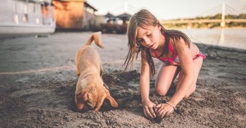 girl and dog digging in the sand
